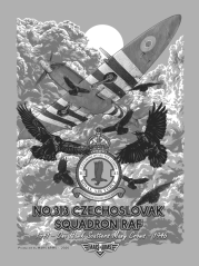 PLAKÁT RAF 313