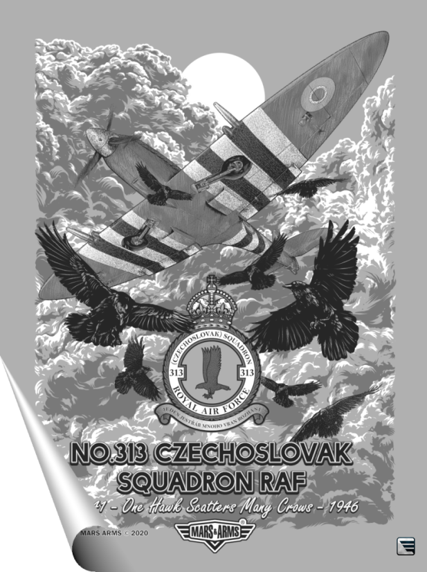 PLAKÁT RAF 313