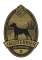 Jagdteriér