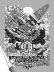 PLAKÁT RAF 313