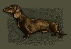 Myslivecké tričko - Jezevčík hladkosrstý - dámské