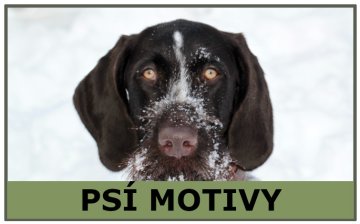 Psie motívy - Doporučujeme
