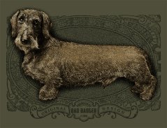 jezevcik drsnosrsty nahled