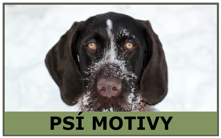 Psie motívy - Velikost - M