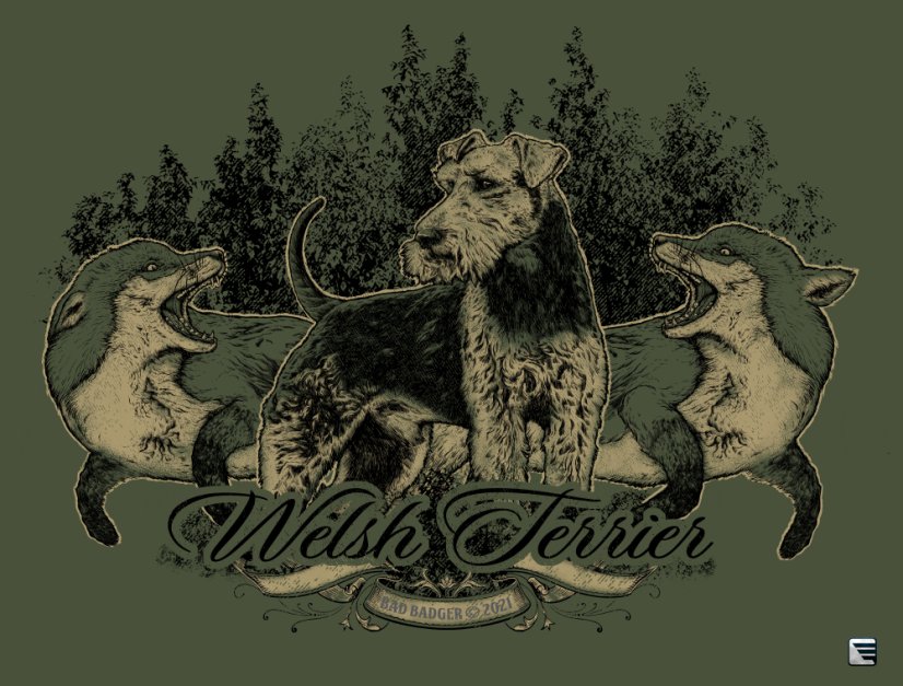 welshterier motiv