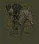 Jagd T-Shirt - Deutscher Vorstehhund - Damen