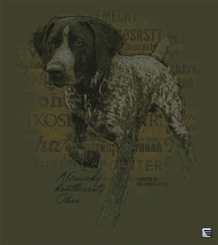 Jagd T-Shirt - Deutscher Vorstehhund - Damen