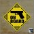 SAMOLEPKA - GUN ON BOARD