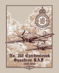 RAF 310