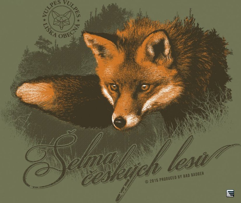 selma ceskych lesu KONEC