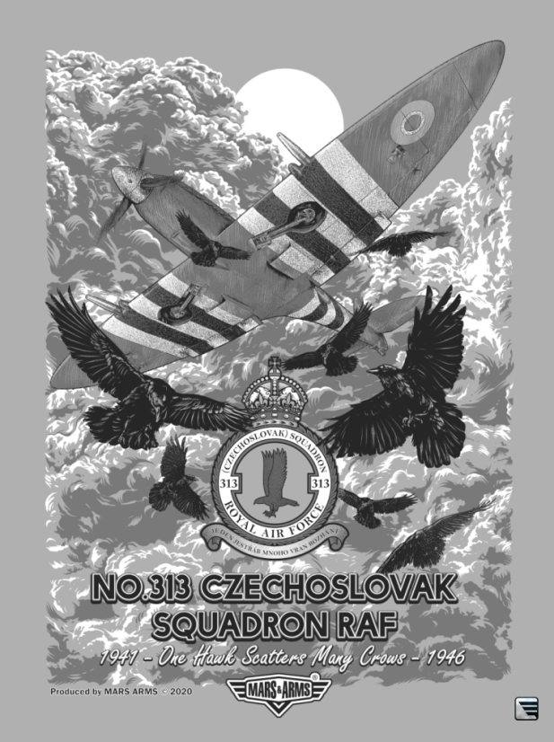 PLAKÁT RAF 313