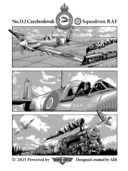 RAF 312